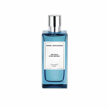 Parfym Unisex Angel Schlesser 100 ml