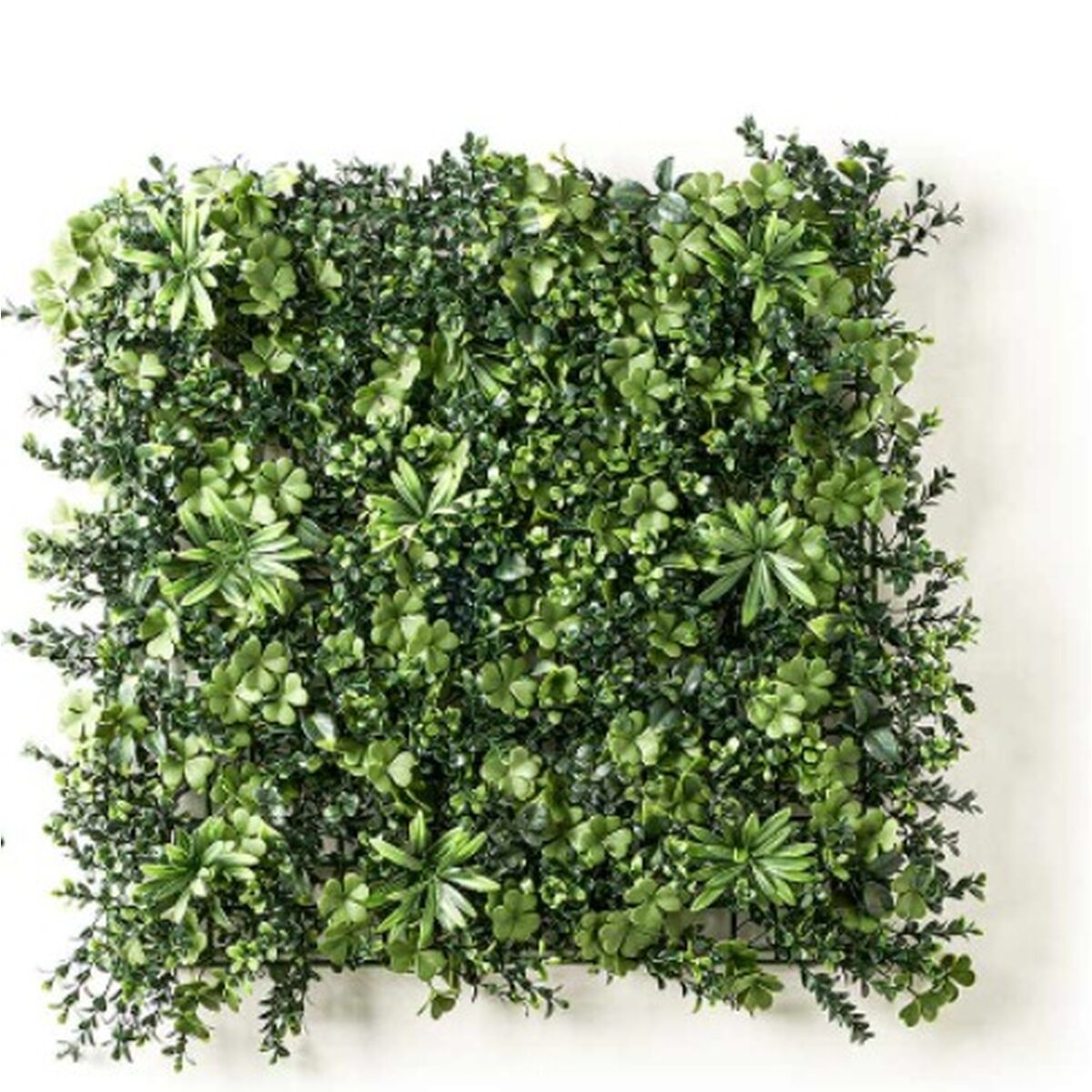 Vertikalt trädgård Ibergarden Grön Plast Blad 50 x 50 cm (10 antal) - 3