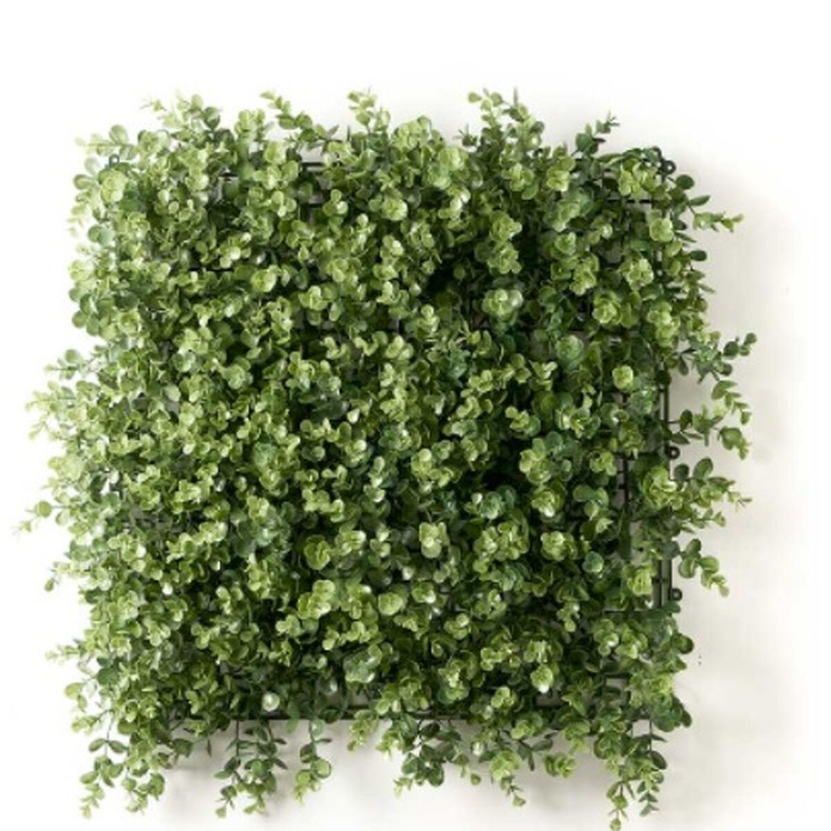 Vertikalt trädgård Ibergarden Grön Plast Blad 50 x 50 cm (10 antal) - 3