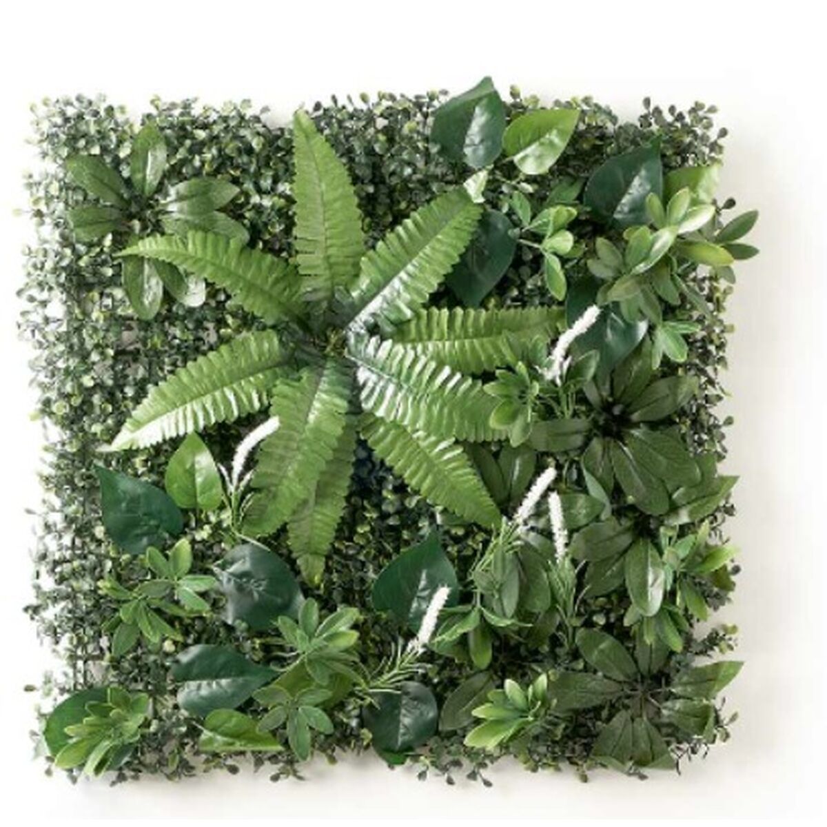 Vertikalt trädgård Ibergarden Vit Grön Plast Ormbunke 50 x 50 cm (10 antal) - 3