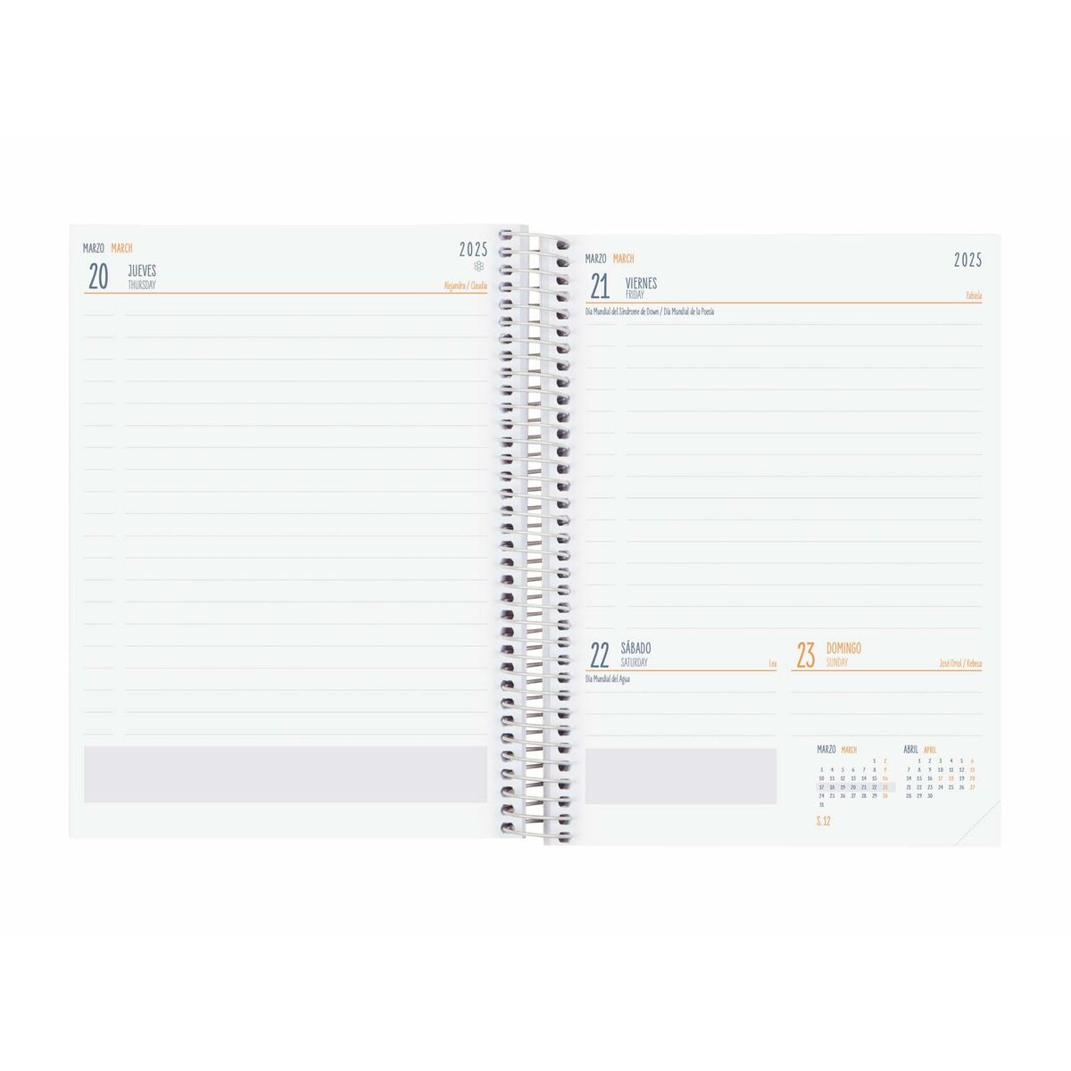 Dagbok Finocam COOL Multicolour Quarto 15,5 x 21,2 cm 2024-2025 Blommig - 4