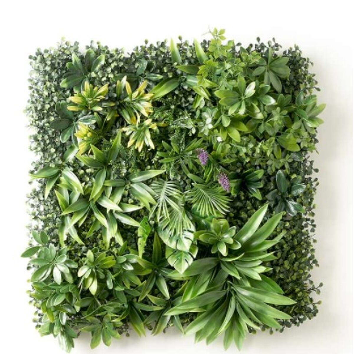 Vertikalt trädgård Ibergarden Gul Grön Purpur Plast Blad 50 x 50 cm (10 antal) - 3