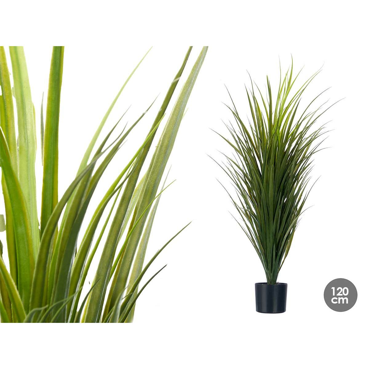 Dekorativ växt Ibergarden Plast 70 x 120 x 70 cm (4 antal) - 2