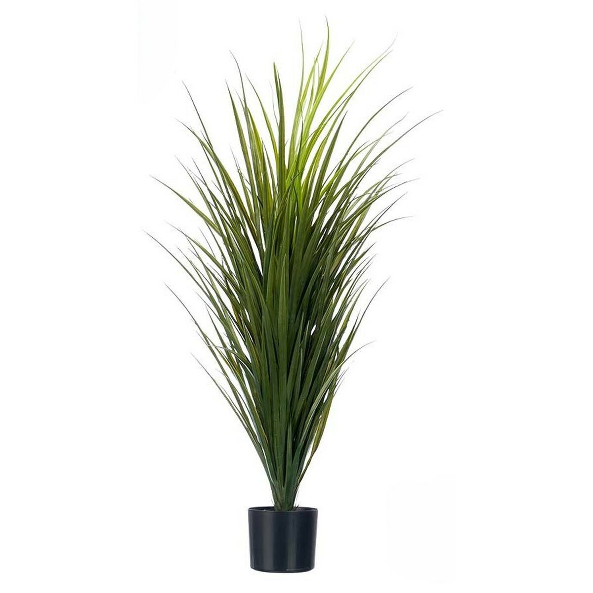 Dekorativ växt Ibergarden Plast 70 x 120 x 70 cm (4 antal) - 3