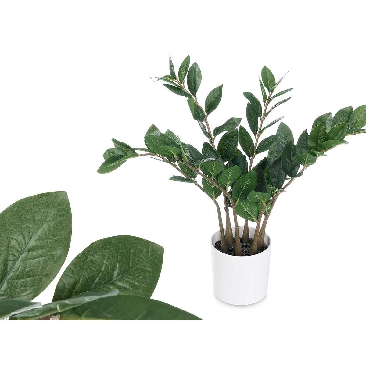 Dekorativ växt Ibergarden ZAMIOCULCA Polyetylen Melamin 53 x 55 x 53 cm (6 antal) - 3