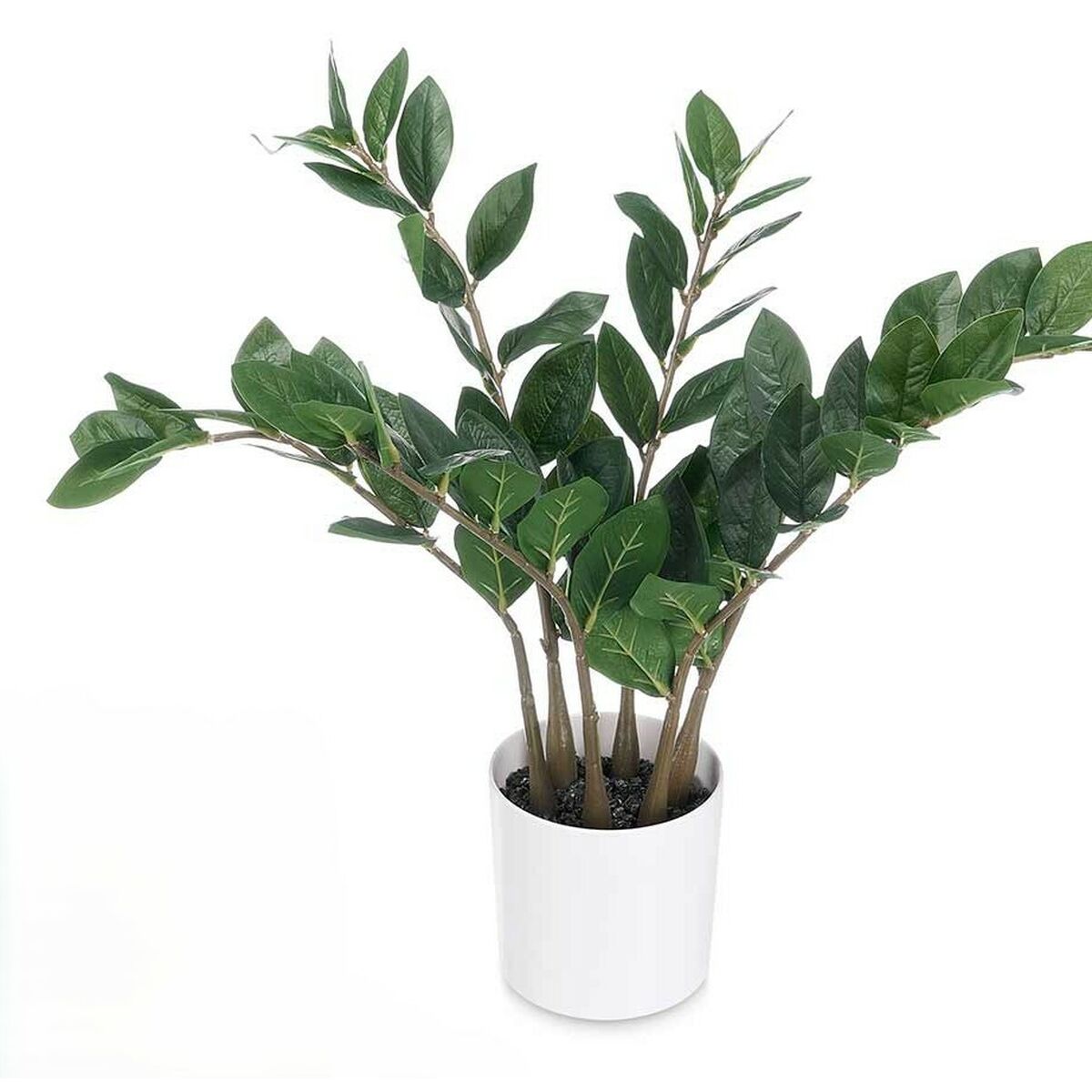 Dekorativ växt Ibergarden ZAMIOCULCA Polyetylen Melamin 53 x 55 x 53 cm (6 antal) - 2