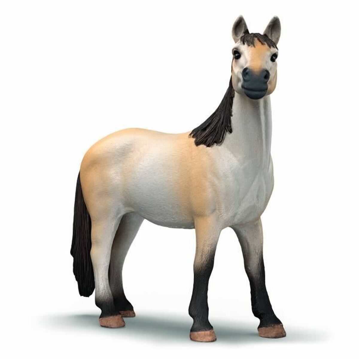 Playset Schleich 42724 - 5