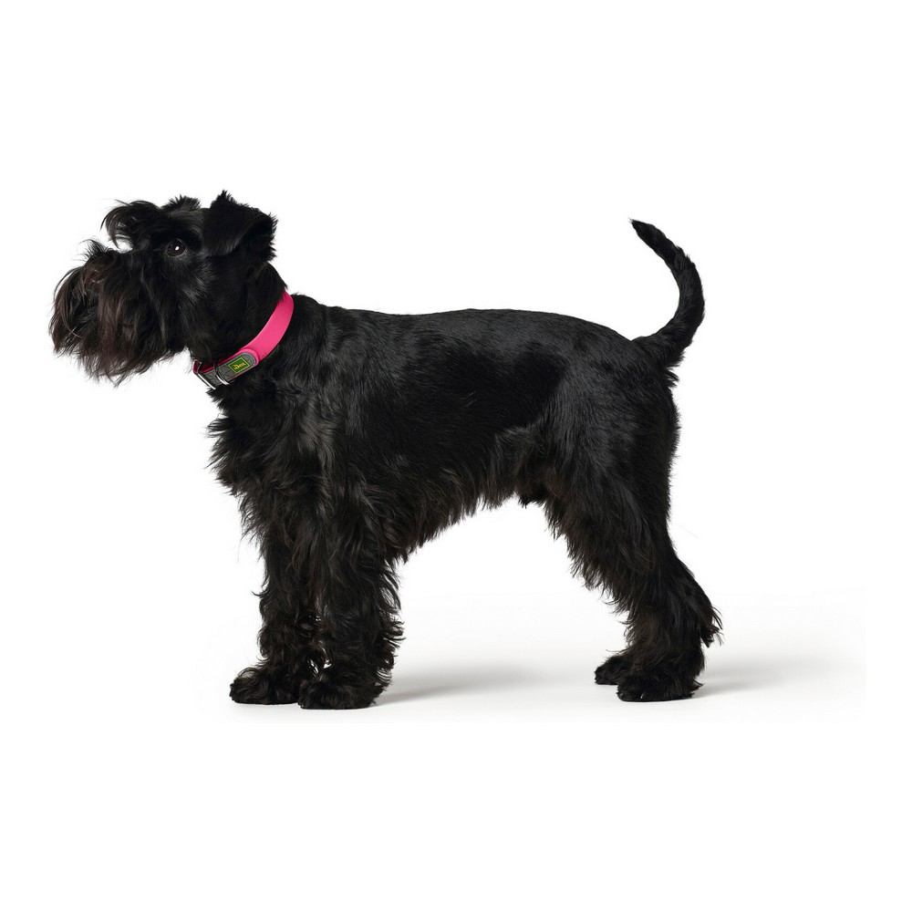 Hundhalsband Hunter Covenience XS-S Rosa (23-31 cm) - 3