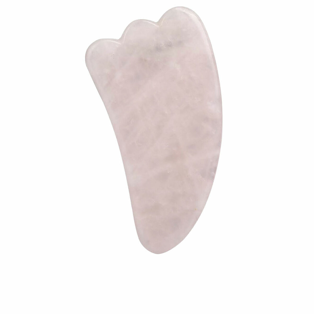 Rengöringsborste till ansikte Paloma Beauties HIGIENE Y BIENESTAR Rosa