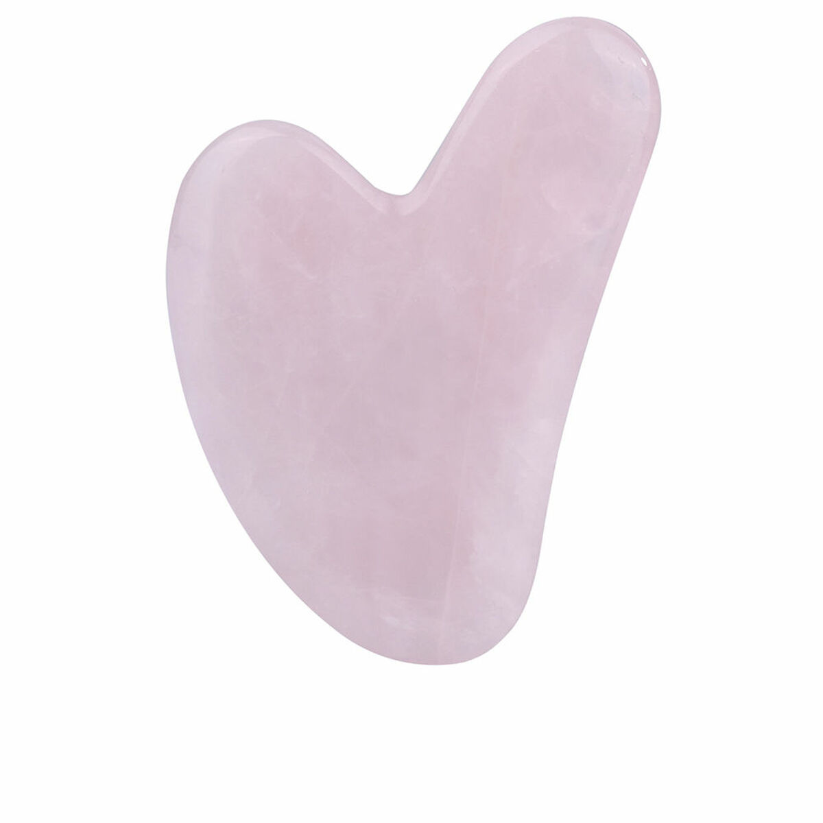 Rengöringsborste till ansikte Paloma Beauties HIGIENE Y BIENESTAR Rosa
