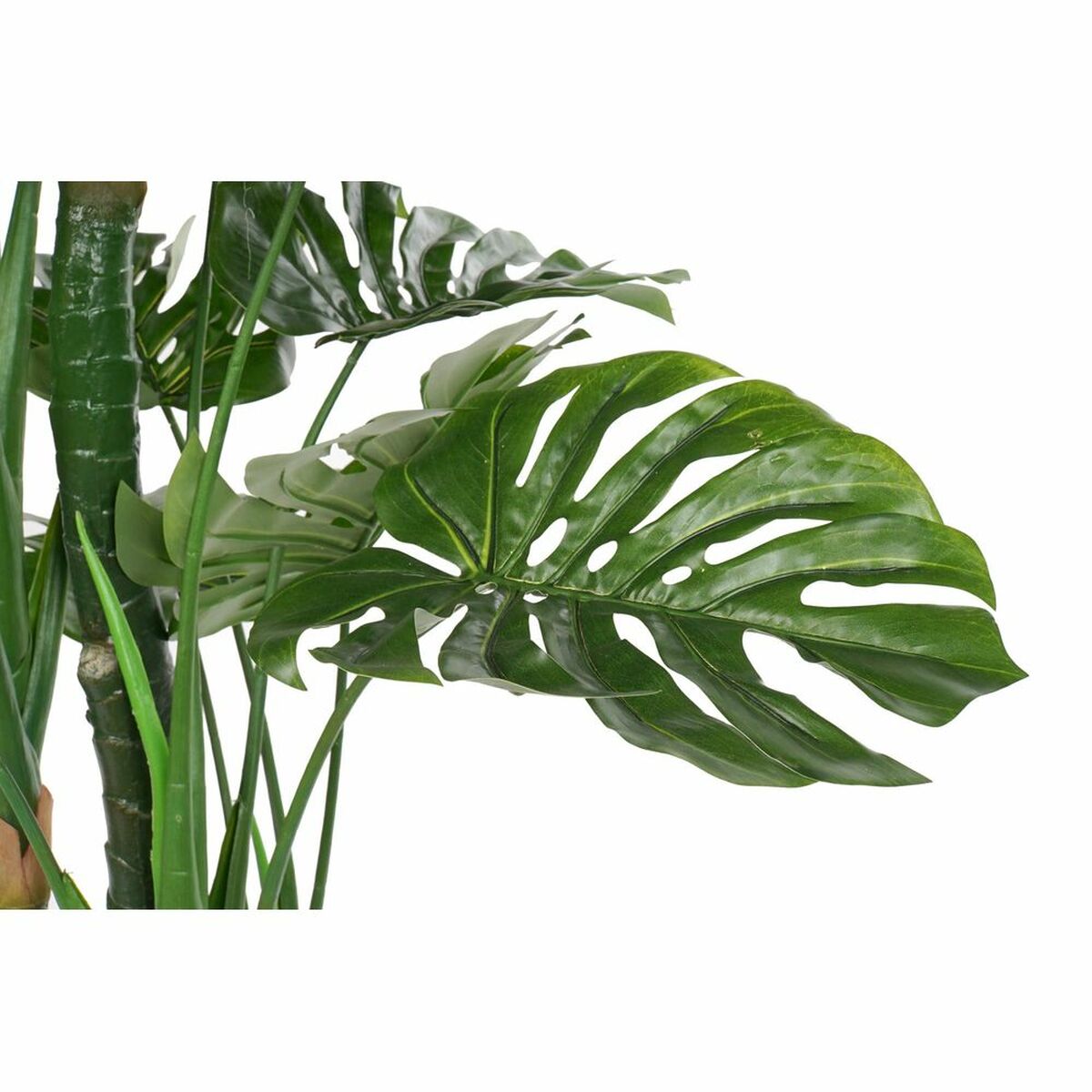 Dekorativ växt DKD Home Decor Polypropen (PP) EVA (90 x 90 x 200 cm) - 2