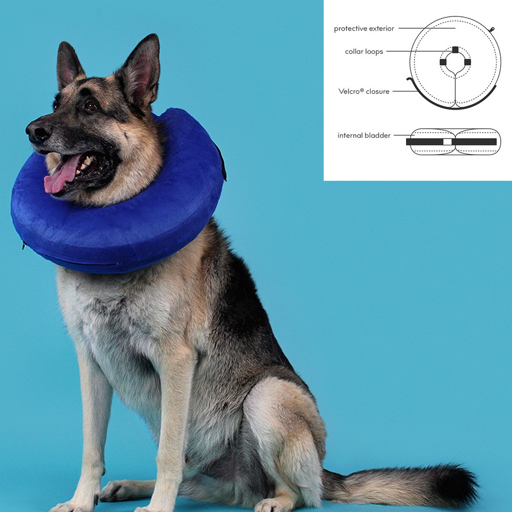 Återställningshalsband för hundar KVP Kong Cloud Blå Upplåsbar (33-46 cm) - 2