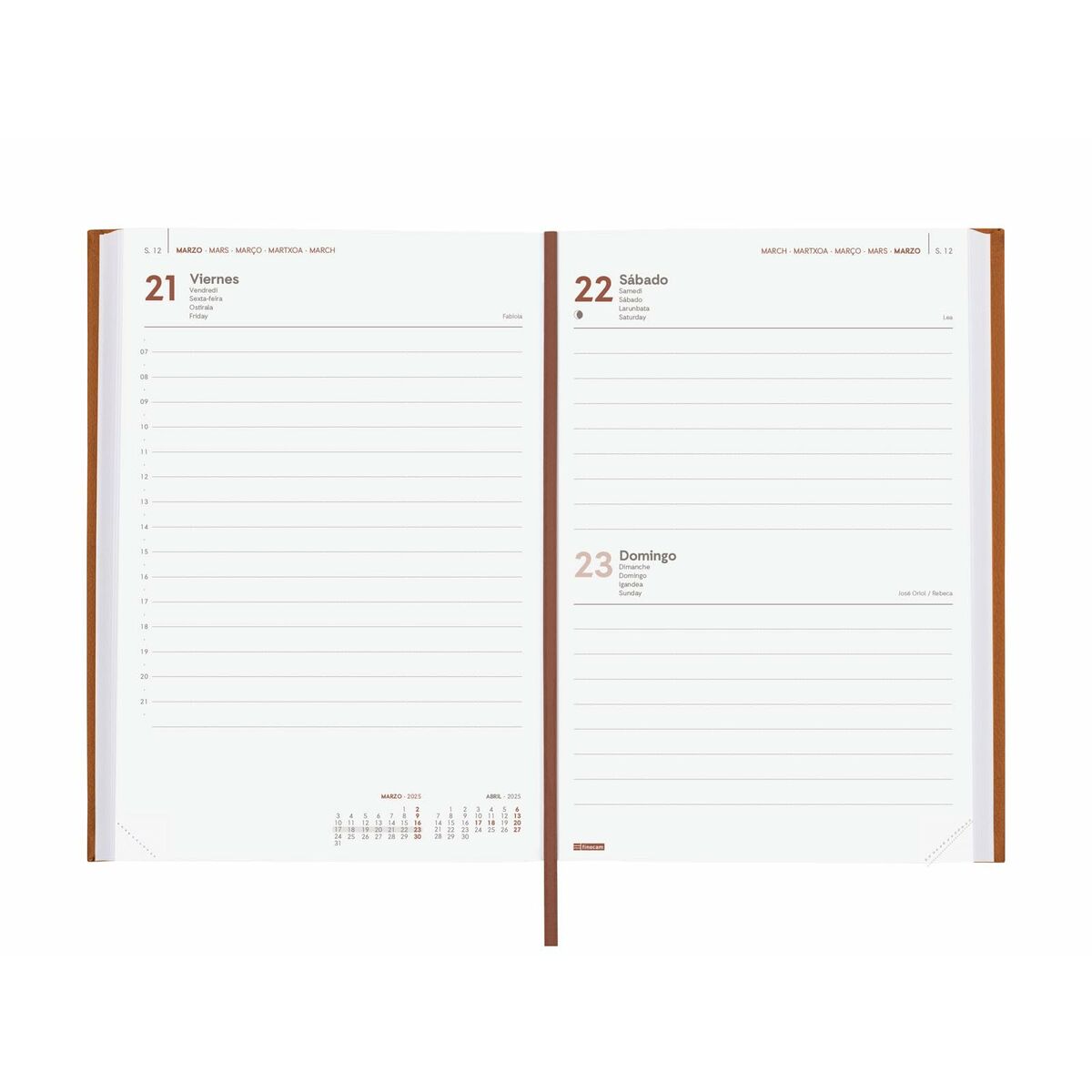 Dagbok Finocam DYNAMIC MILANO Y10 Brun A5 14 x 20,4 cm 2025 - 6