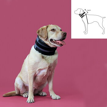 Cervikalhalsband för hundar KVP Svart (9-36 cm)
