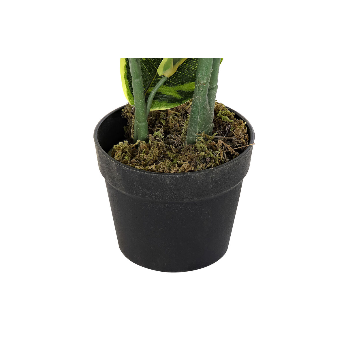 Dekorativ växt DKD Home Decor Polyetylen Grön 40 x 40 x 120 cm Urban - 2