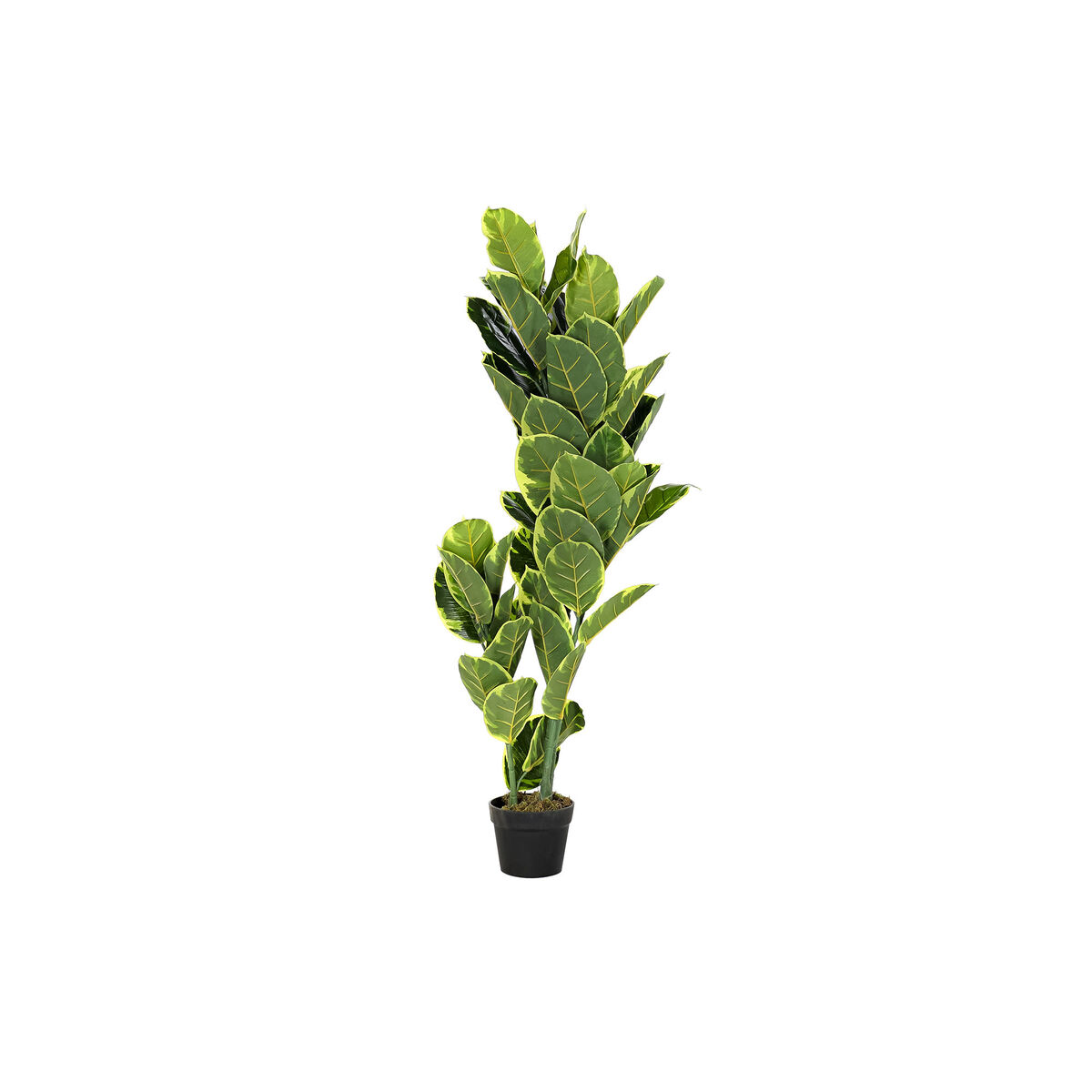 Dekorativ växt DKD Home Decor Polyetylen Grön 40 x 40 x 120 cm Urban