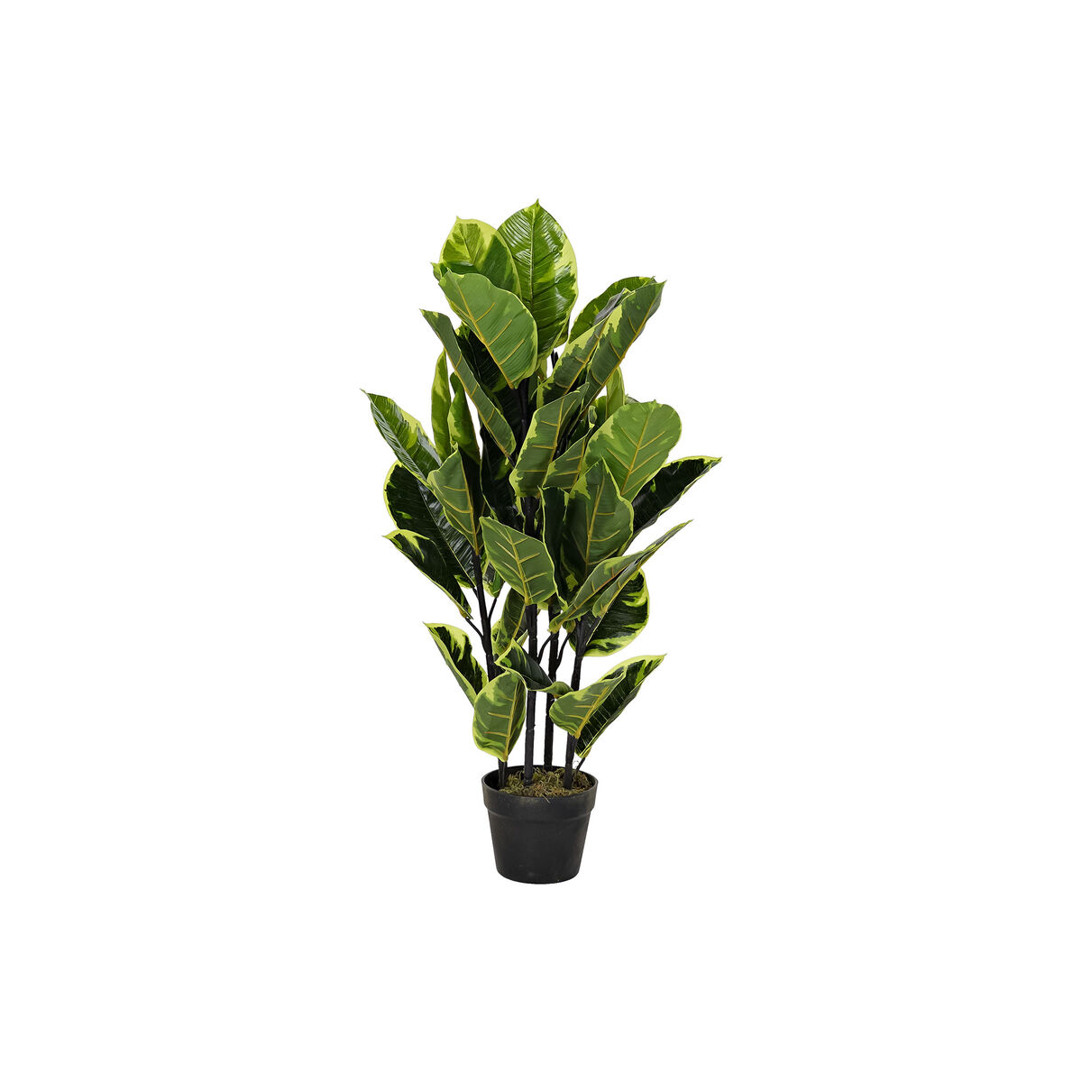 Dekorativ växt DKD Home Decor Polyetylen Urban 40 x 40 x 90 cm