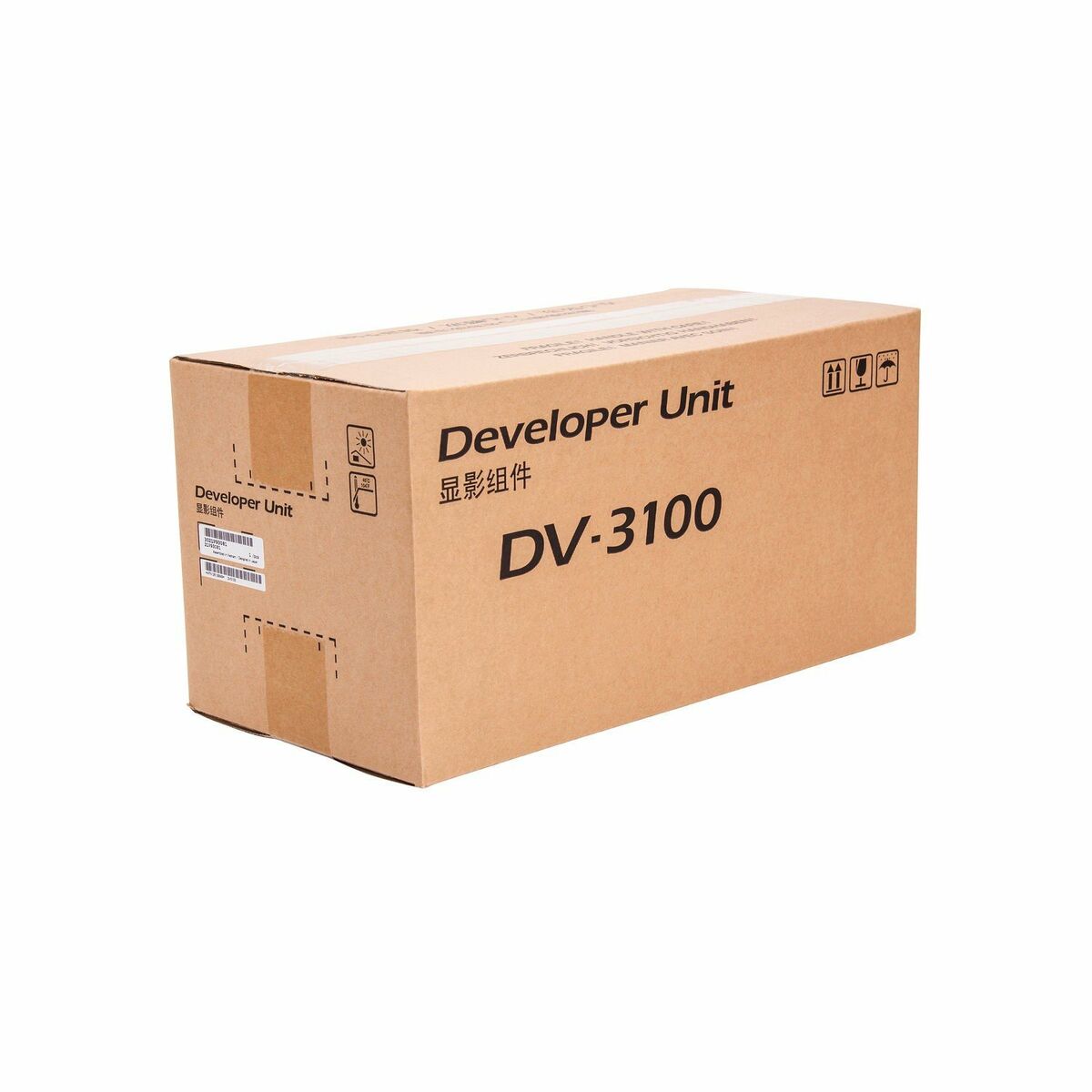 Utvecklingssats Kyocera DV-3100 FS-4300DN Svart - 3