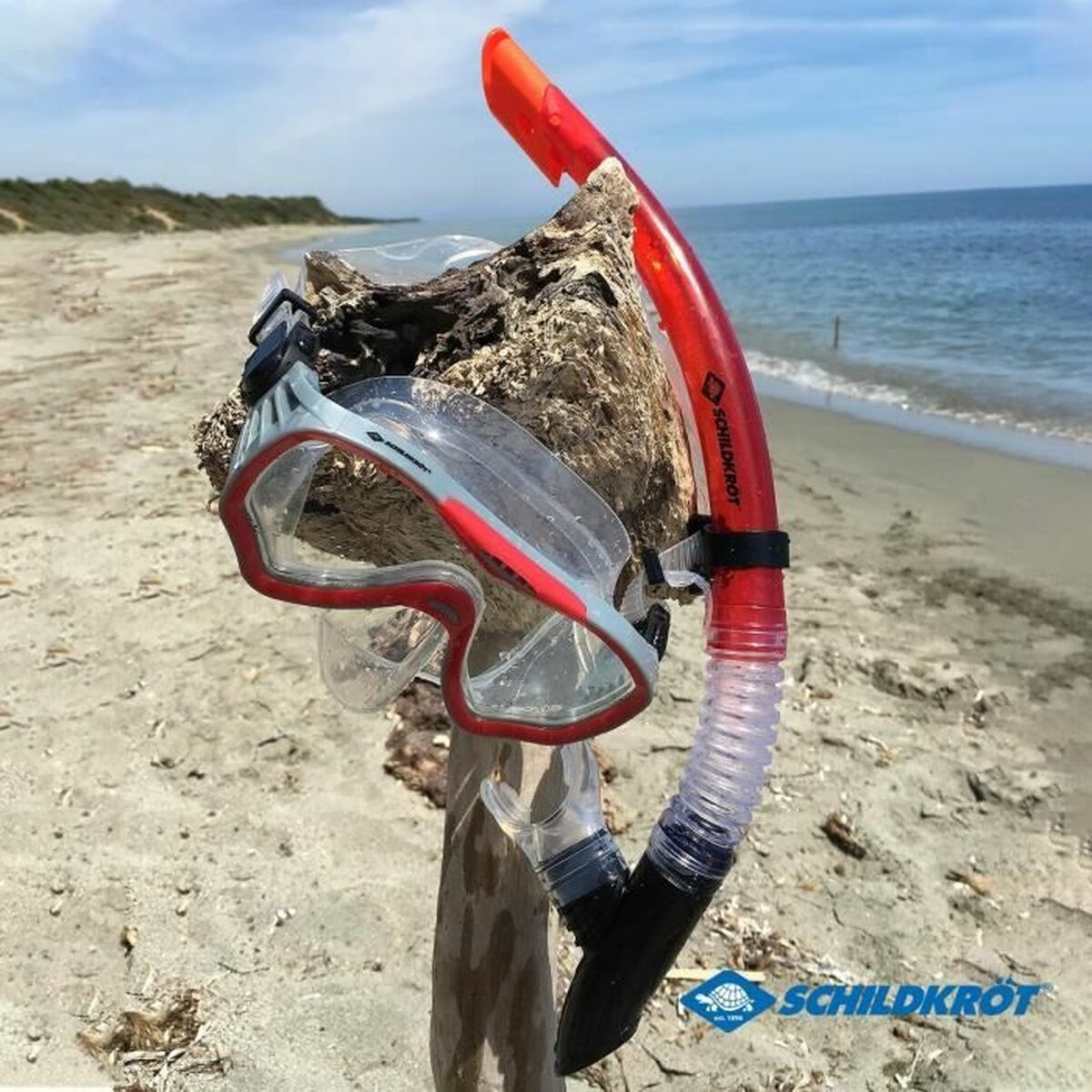 Snorkel och cyklop Schildkröt Röd Grå One size - 3