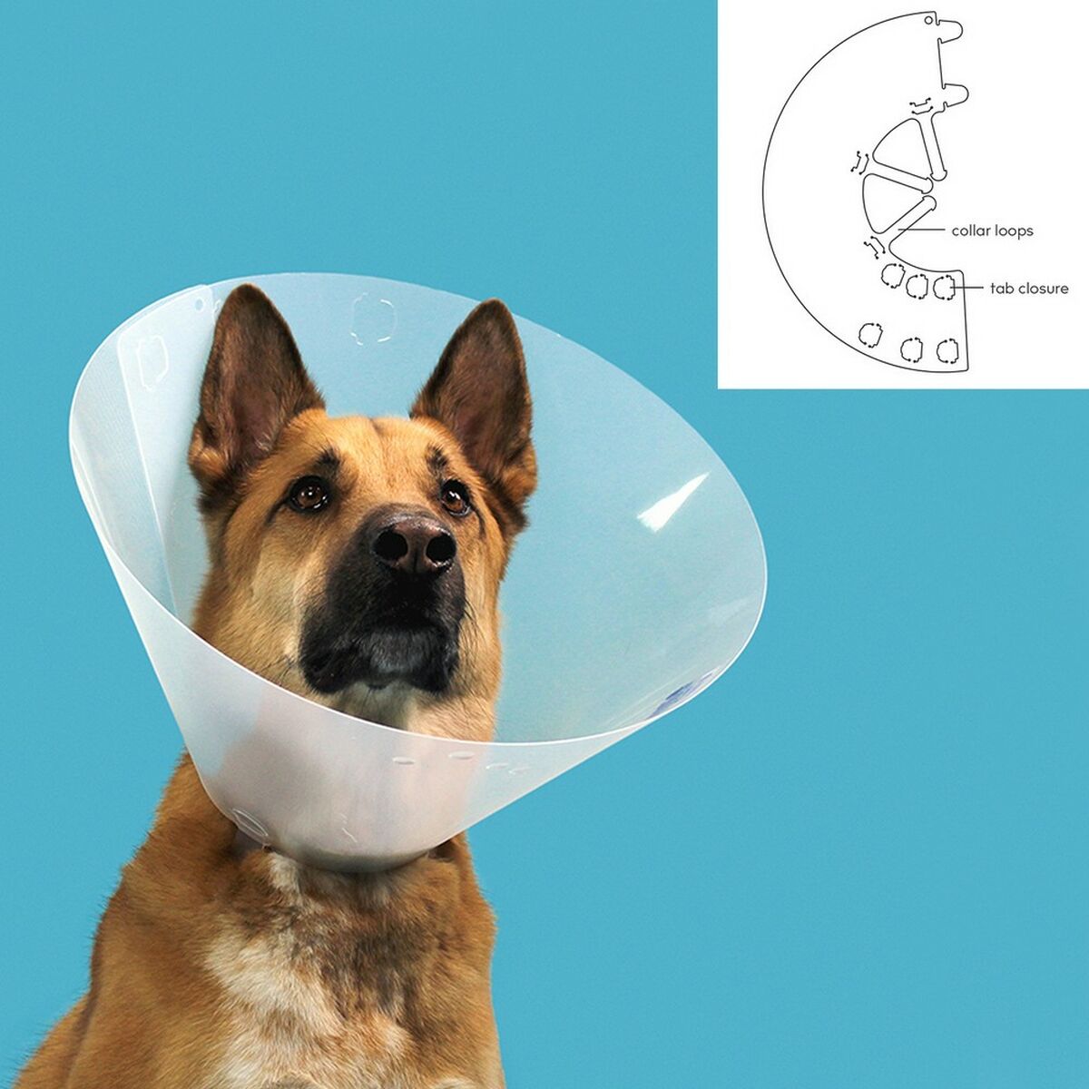 Elizabethan Hundhalsband KVP Quick Fit Transparent (33-41 cm) - 6