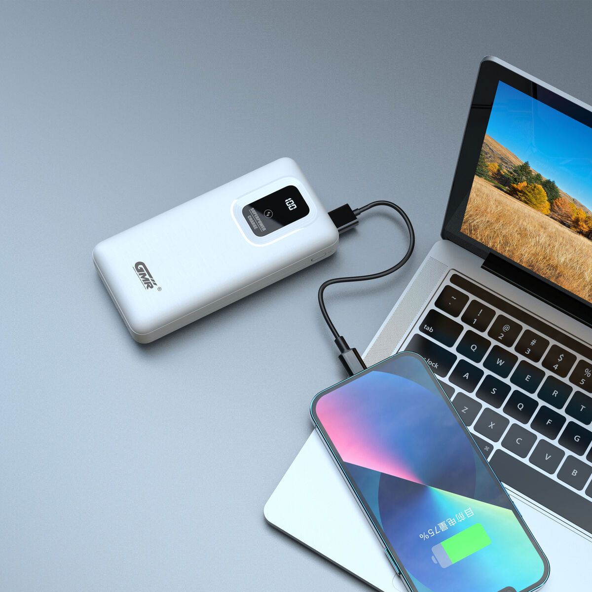 Powerbank Goms Laddningsbar Vit USB-C - 2