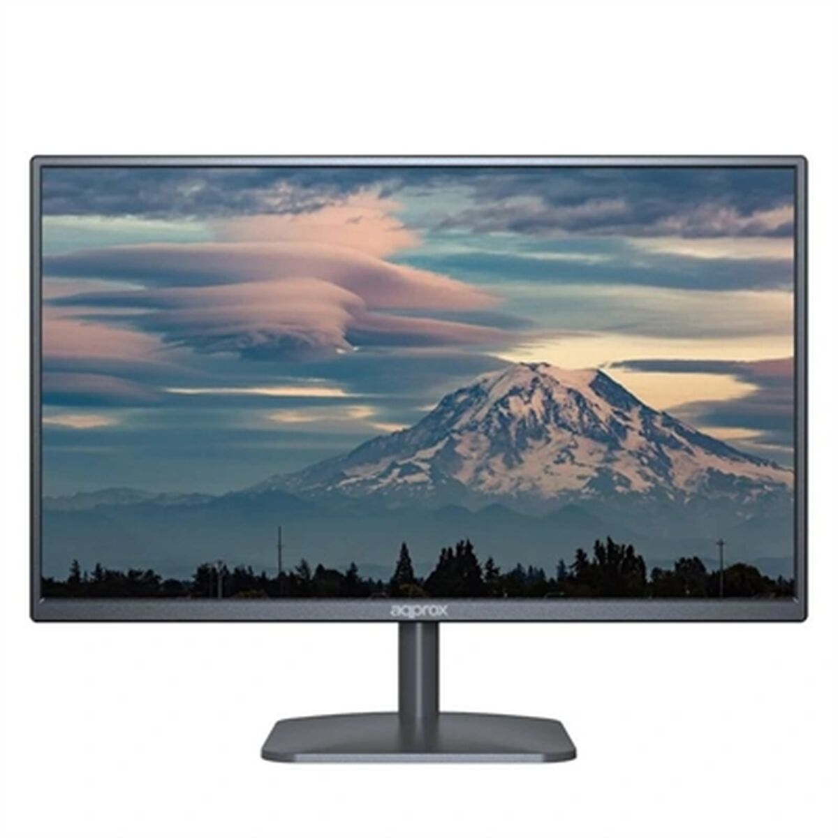 Monitor approx! APPM19B  HD 18,5" LED 60 Hz - 2