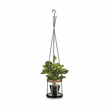 Ljusstakar Ibergarden Metall Glas 15,5 x 85,5 x 15,5 cm (12 antal)