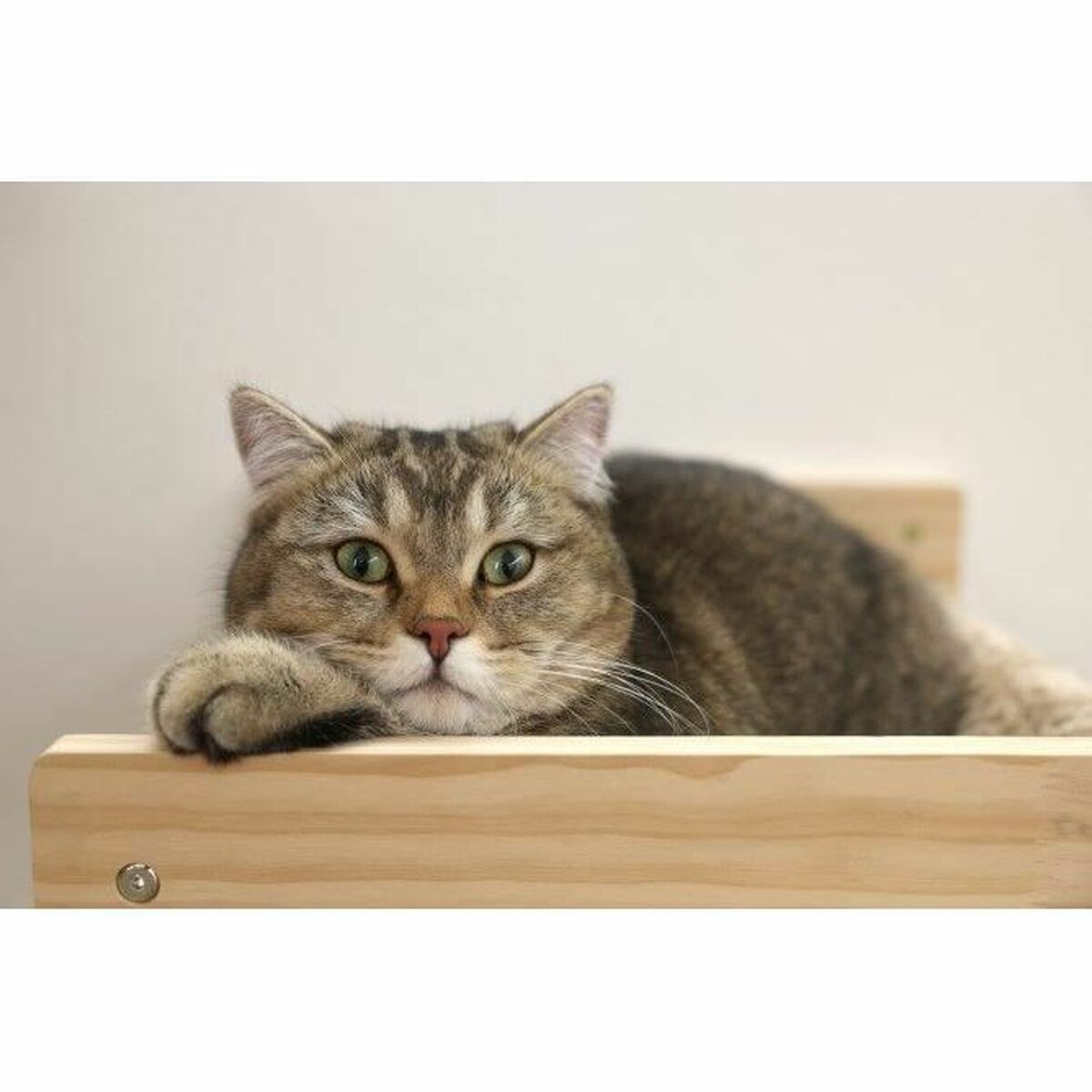 Kattsäng Kerbl TIMBER Beige - 4