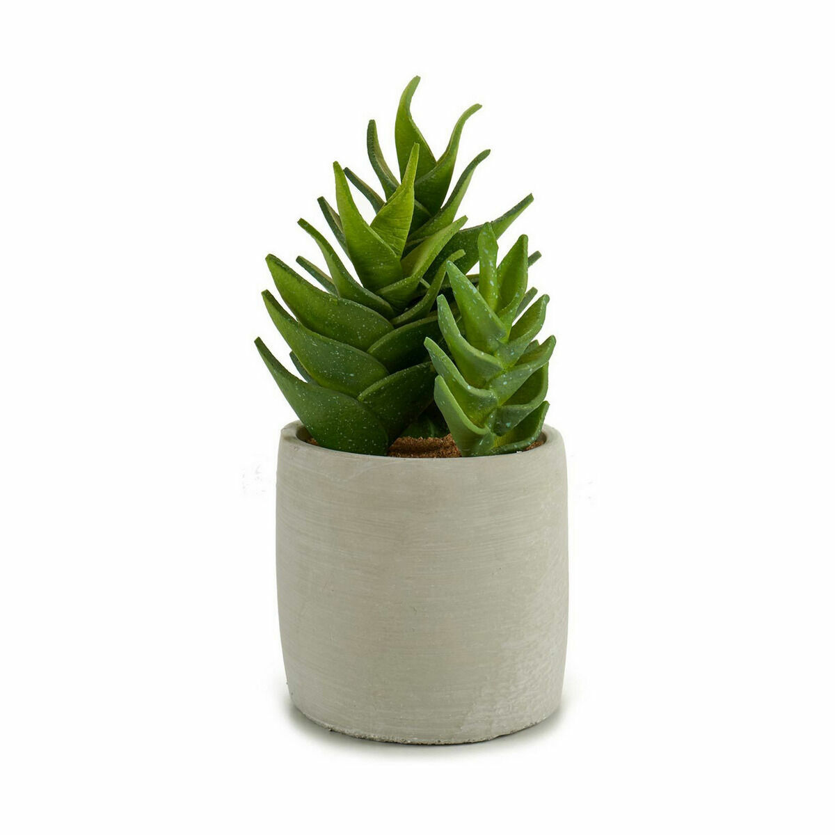 Dekorativ växt Ibergarden Plast Suckulent 12 x 24 x 12 cm (6 antal) - 3