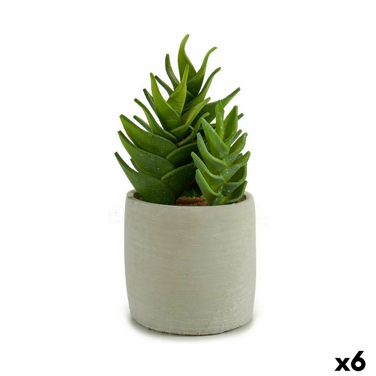 Dekorativ växt Ibergarden Plast Suckulent 12 x 24 x 12 cm (6 antal)