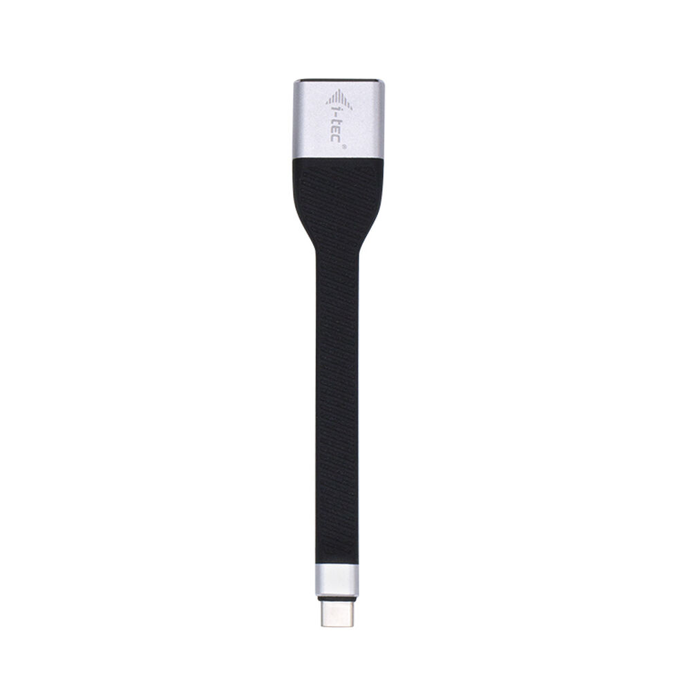 USB C till DisplayPort Adapter i-Tec C31FLATDP60HZ        Svart - 2