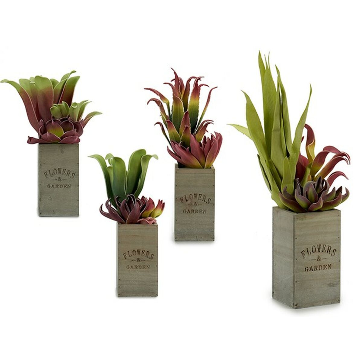 Dekorativ växt Ibergarden Flowers Garden 10 x 50 x 10 cm Brun Grön (4 antal) - 5