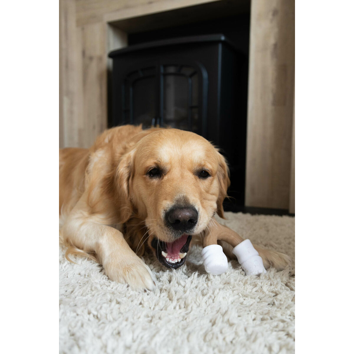 Tuggleksak för hundar Nylabone Brun Jordnötssmör L - 3
