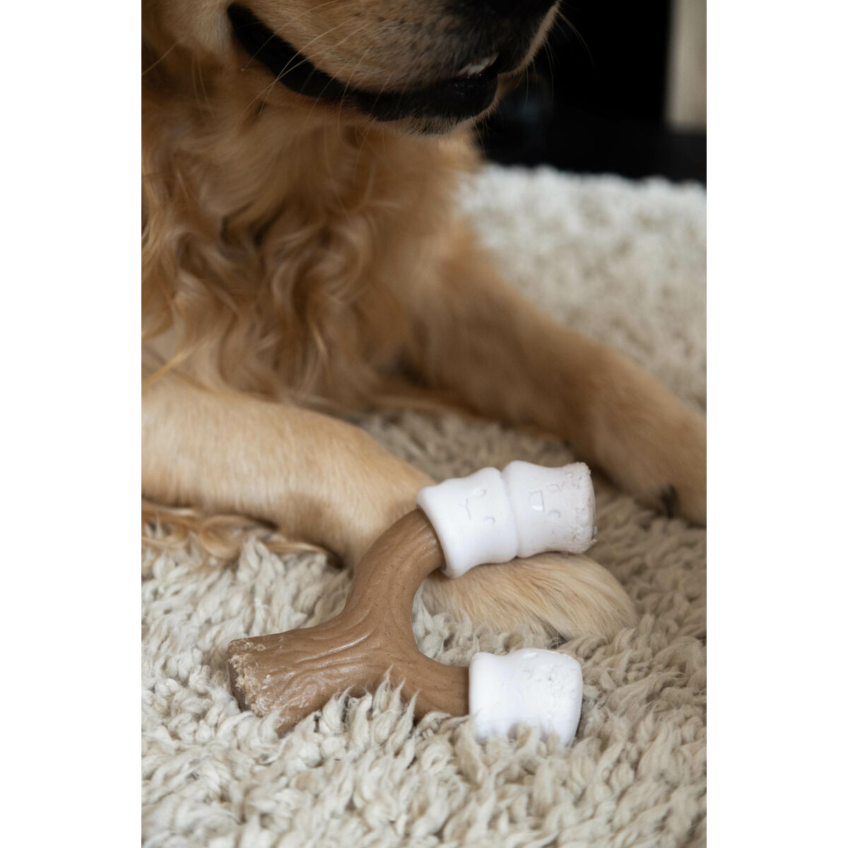 Tuggleksak för hundar Nylabone Brun Jordnötssmör L - 2