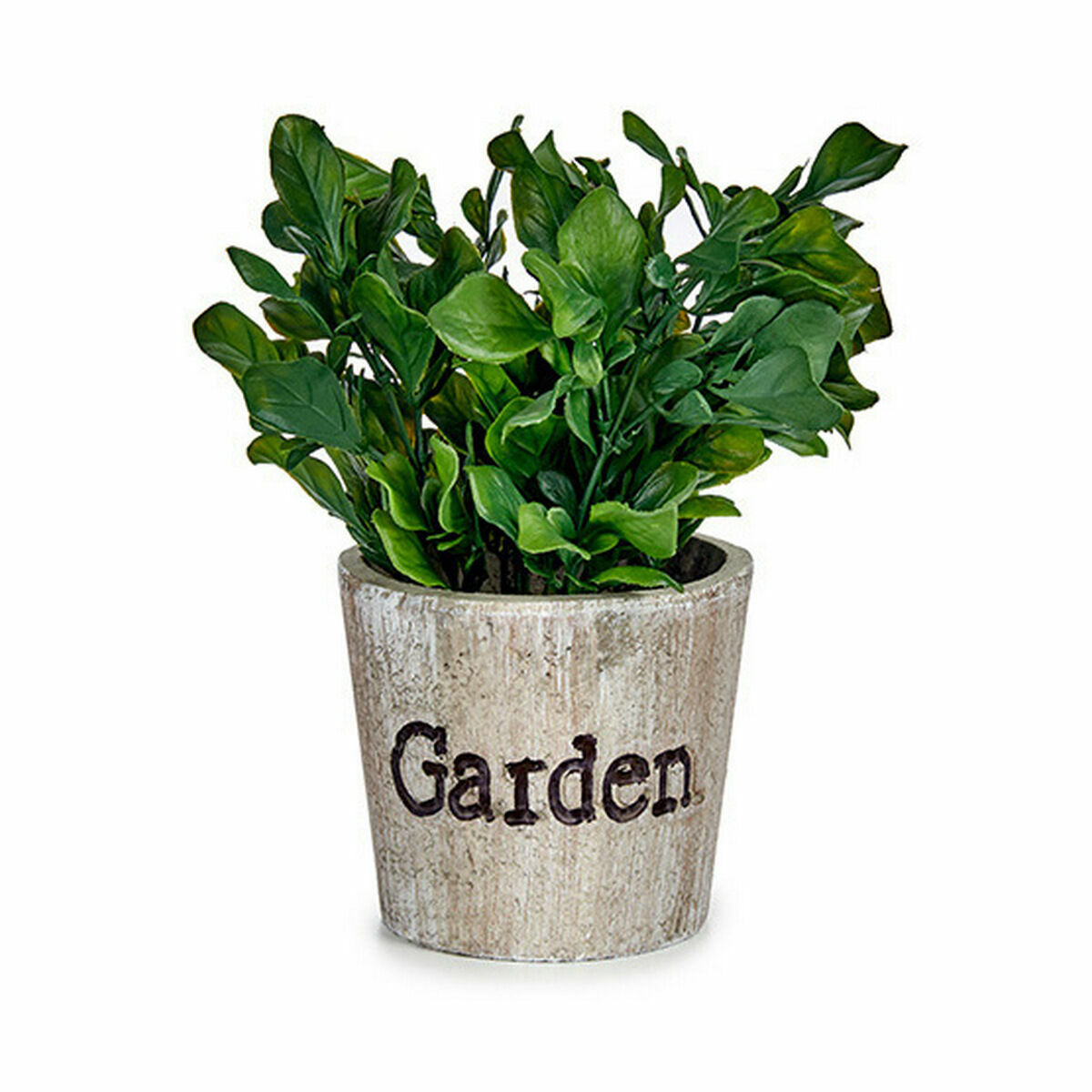 Dekorativ växt Ibergarden Plast 16 x 22 x 16 cm (12 antal) - 5