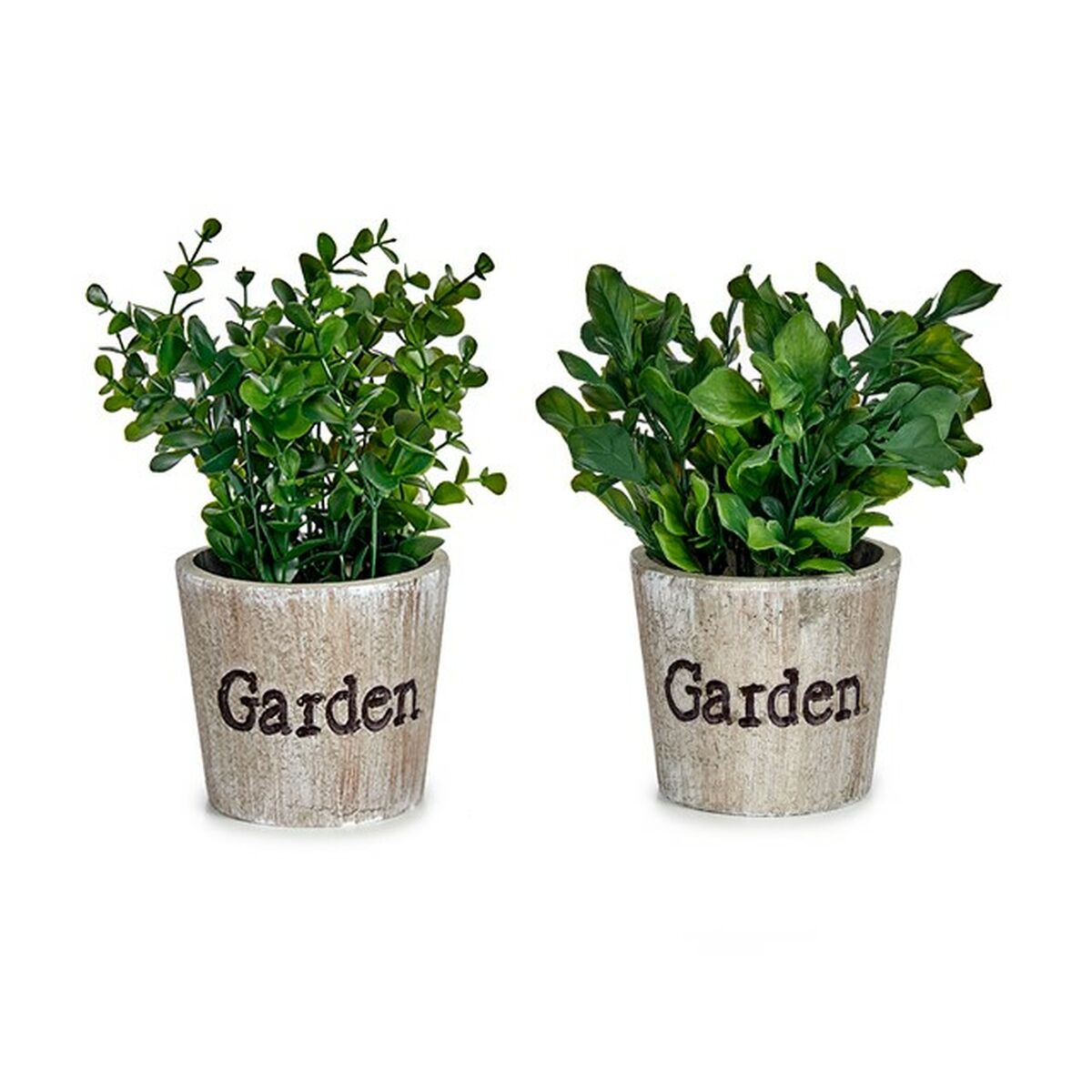 Dekorativ växt Ibergarden Plast 16 x 22 x 16 cm (12 antal) - 2