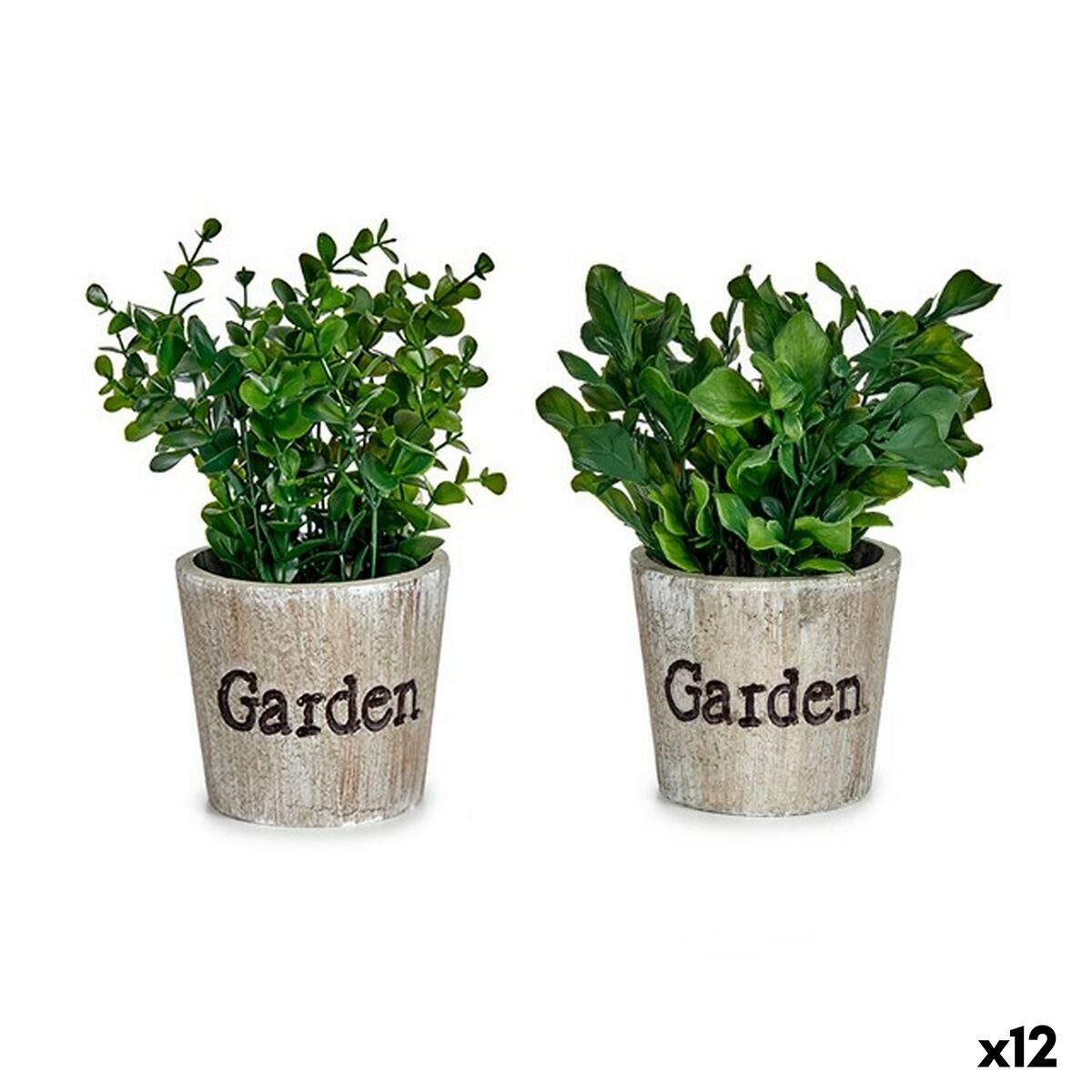 Dekorativ växt Ibergarden Plast 16 x 22 x 16 cm (12 antal) - 3