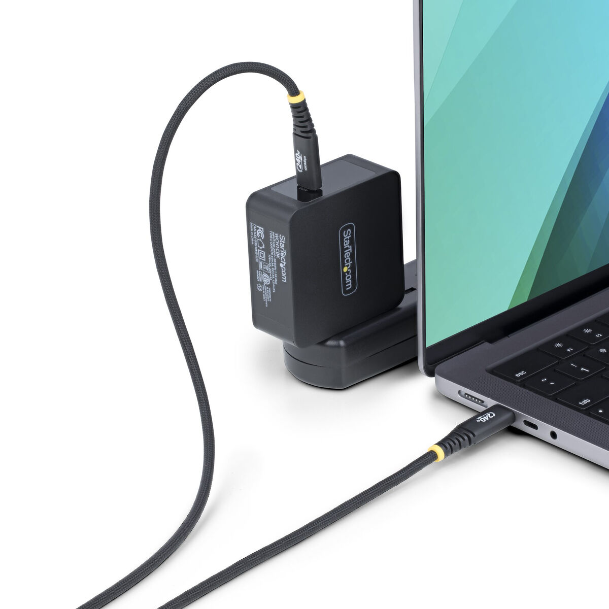 USB-kabel Startech S2CEPR2M-USB-CABLE Svart - 4