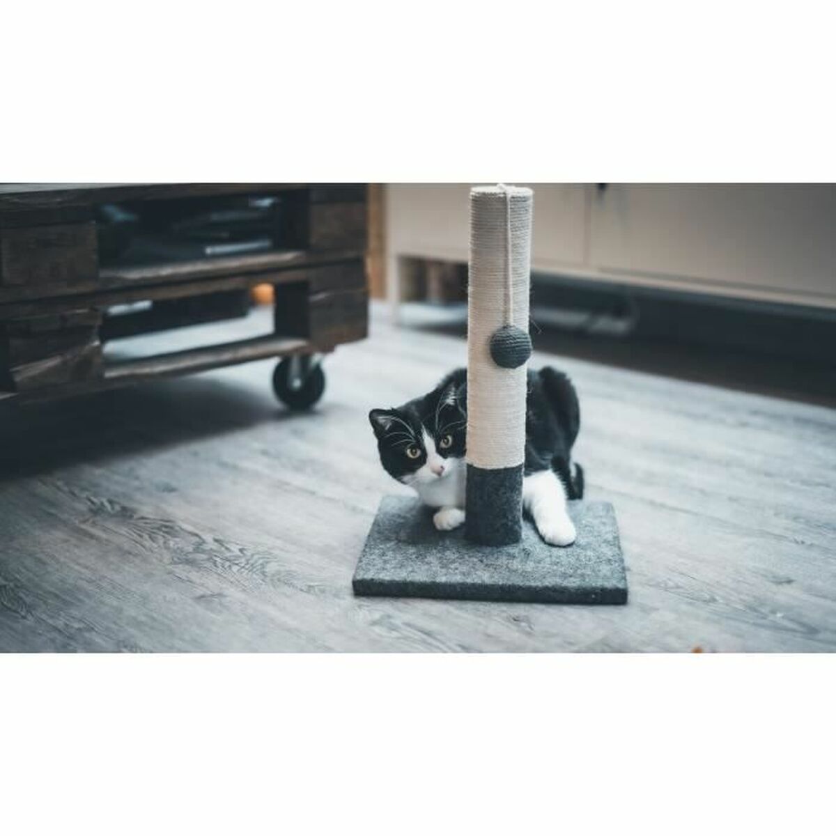 Klösbräda för katter Tyrol Grå - 3