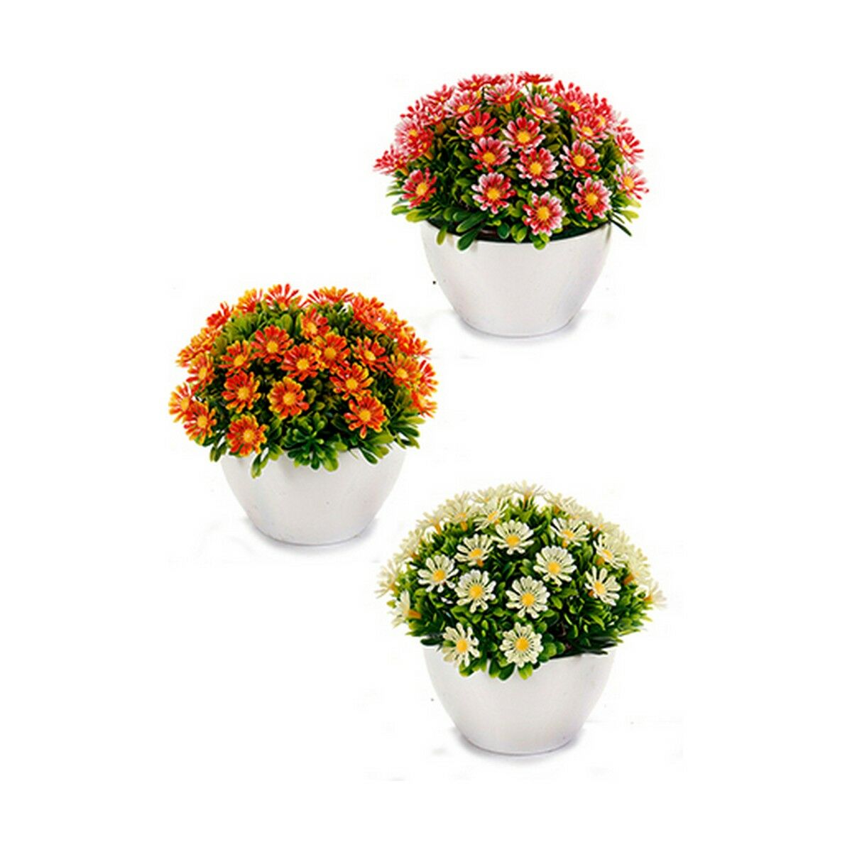 Dekorativ växt Ibergarden Plast Marguerite 14 x 13 x 14 cm (12 antal) - 5