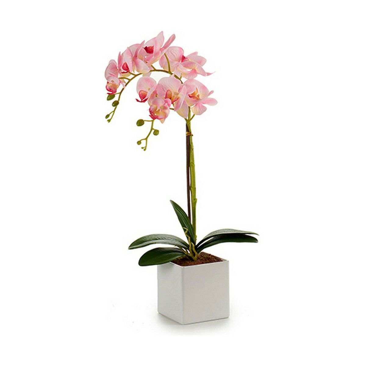 Dekorativ växt Orkidé 18 x 47 x 14 cm Plast (6 antal) - 5