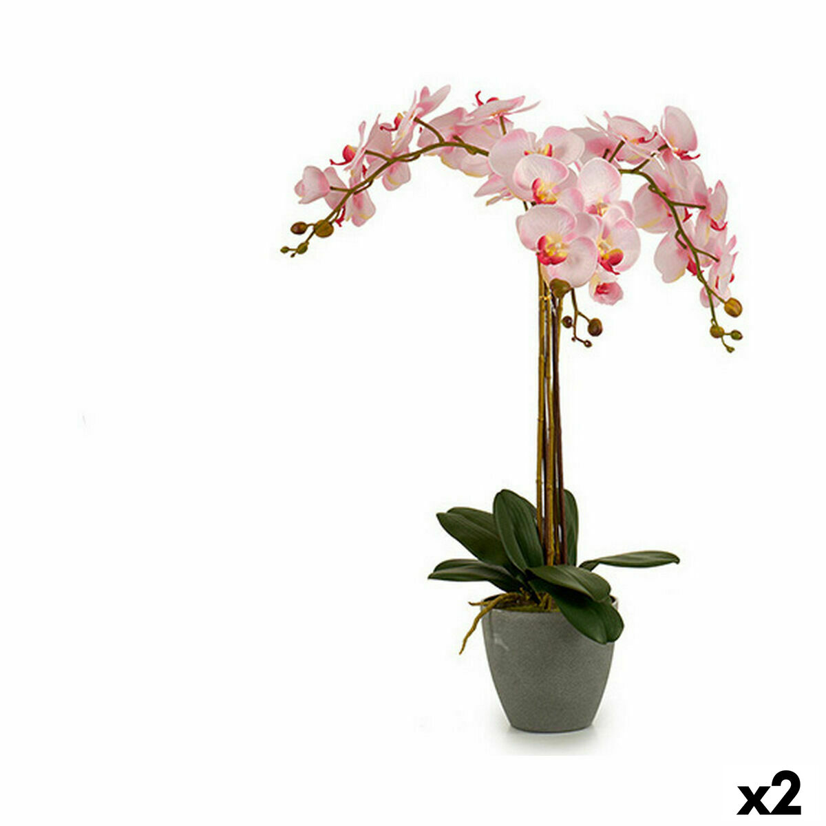 Dekorativ växt Ibergarden A18124-71-3 Plast Orkidé 29 x 78 x 35 cm 60 x 78 x 44 cm (2 antal)
