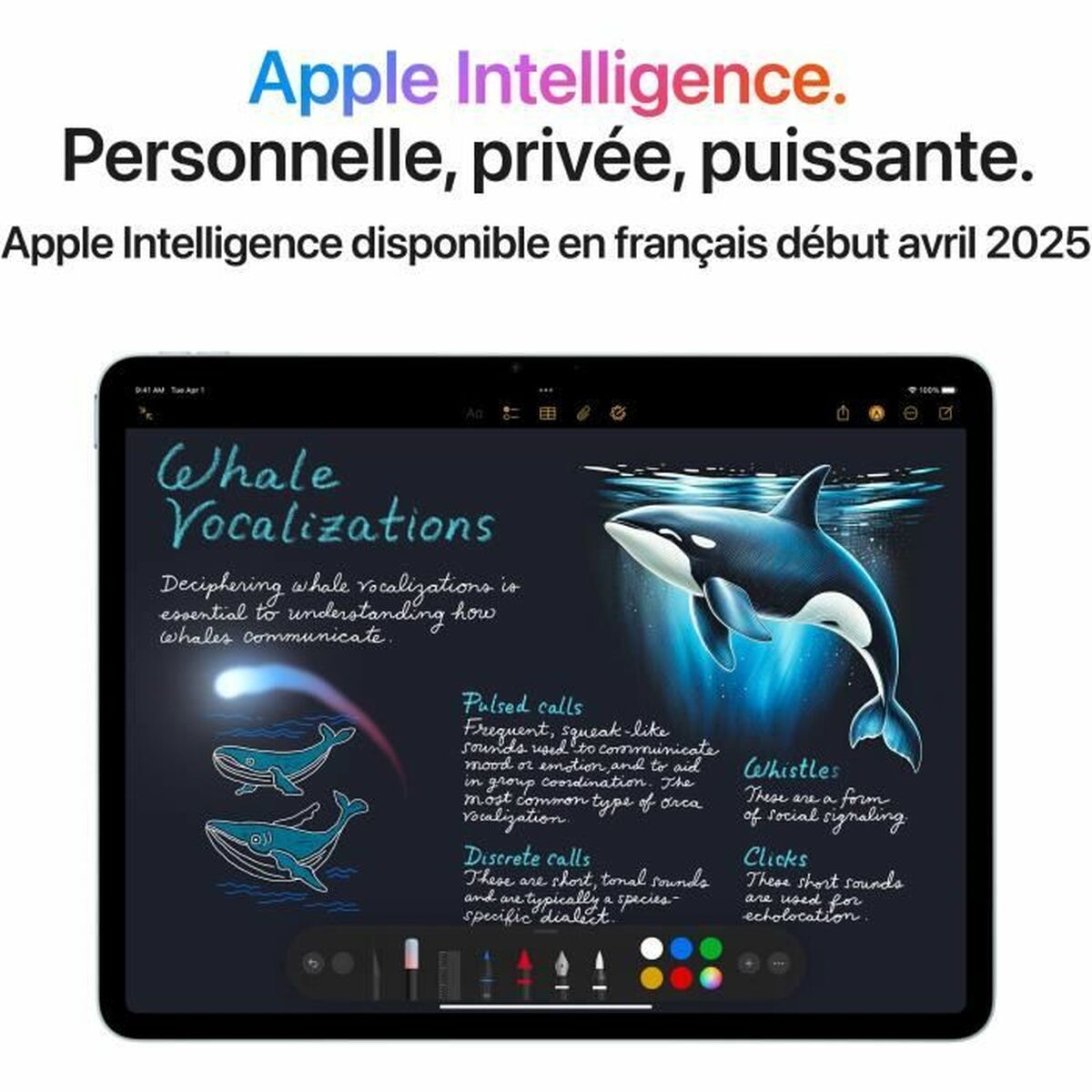 Läsplatta Apple starlight 13" M3 8 GB RAM 1 TB - 5