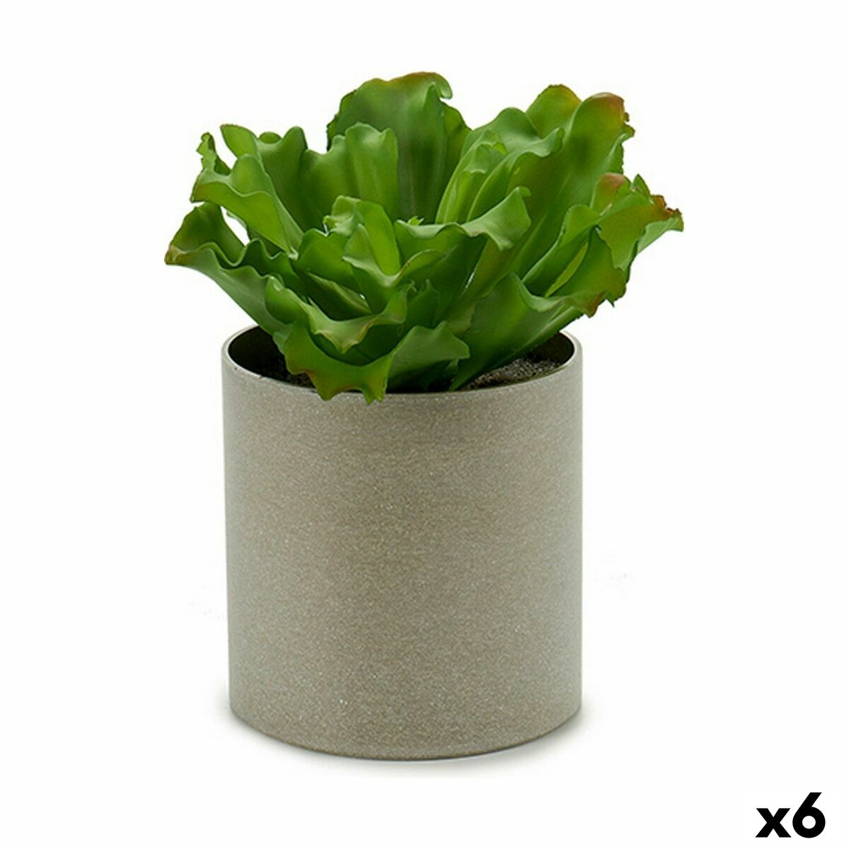 Dekorativ växt Ibergarden 20 x 25 x 20 cm (6 antal)