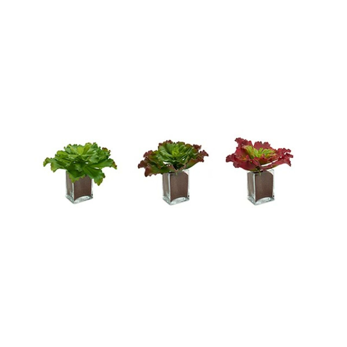 Dekorativ växt Ibergarden Plast Blad Stor 31 x 24 x 31 cm Dvobarvna (6 antal) - 2
