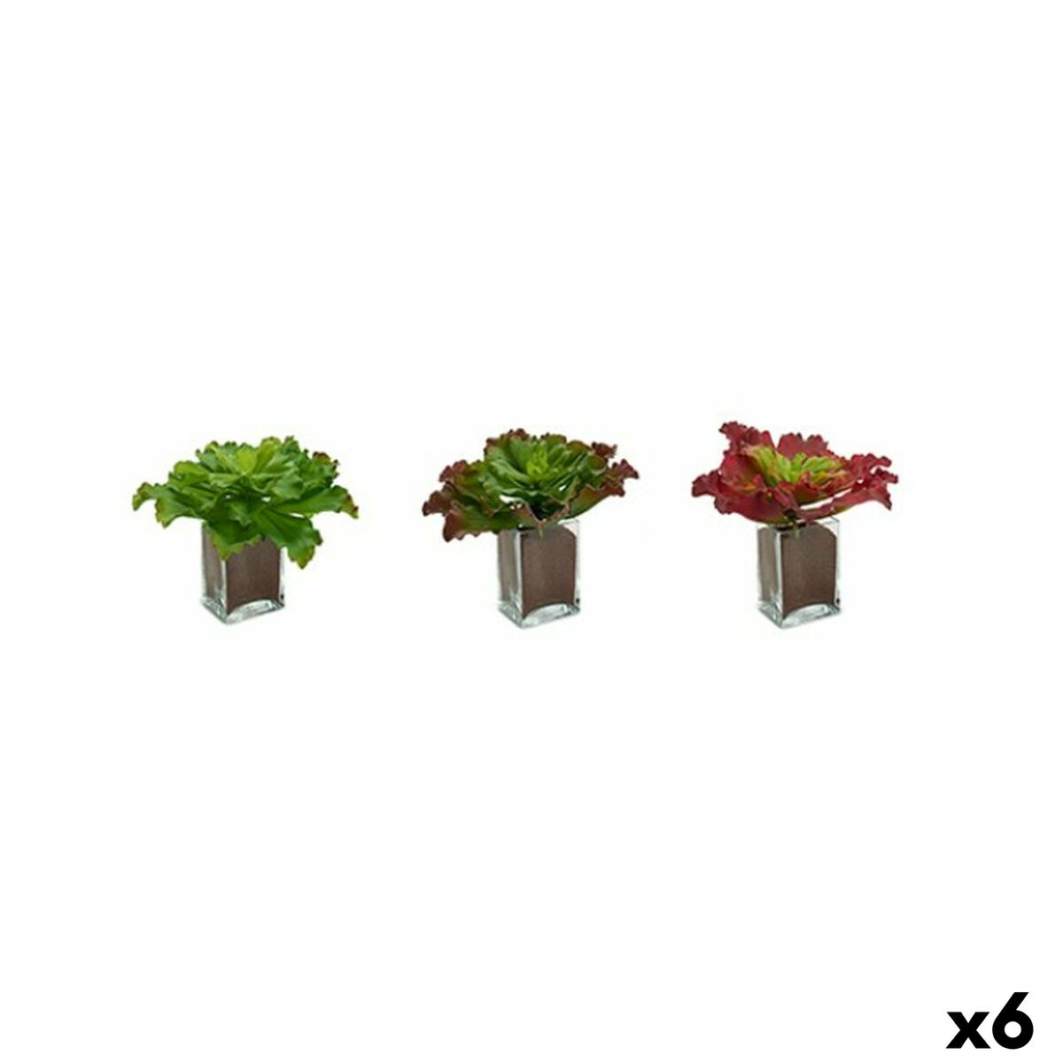 Dekorativ växt Ibergarden Plast Blad Stor 31 x 24 x 31 cm Dvobarvna (6 antal)