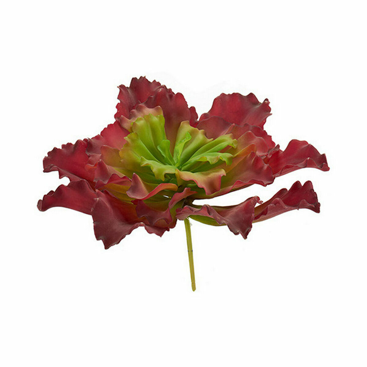 Dekorativ växt Ibergarden Plast Blad Stor 31 x 24 x 31 cm Dvobarvna (6 antal) - 5