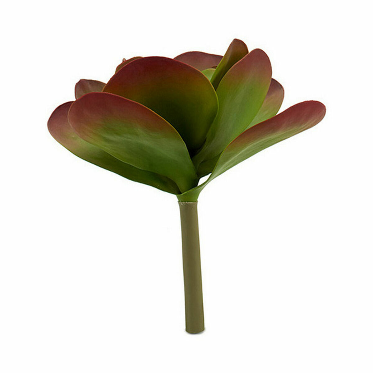 Dekorativ växt Ibergarden Plast Blad Stor 27 x 29 x 27 cm Dvobarvna (6 antal) - 5