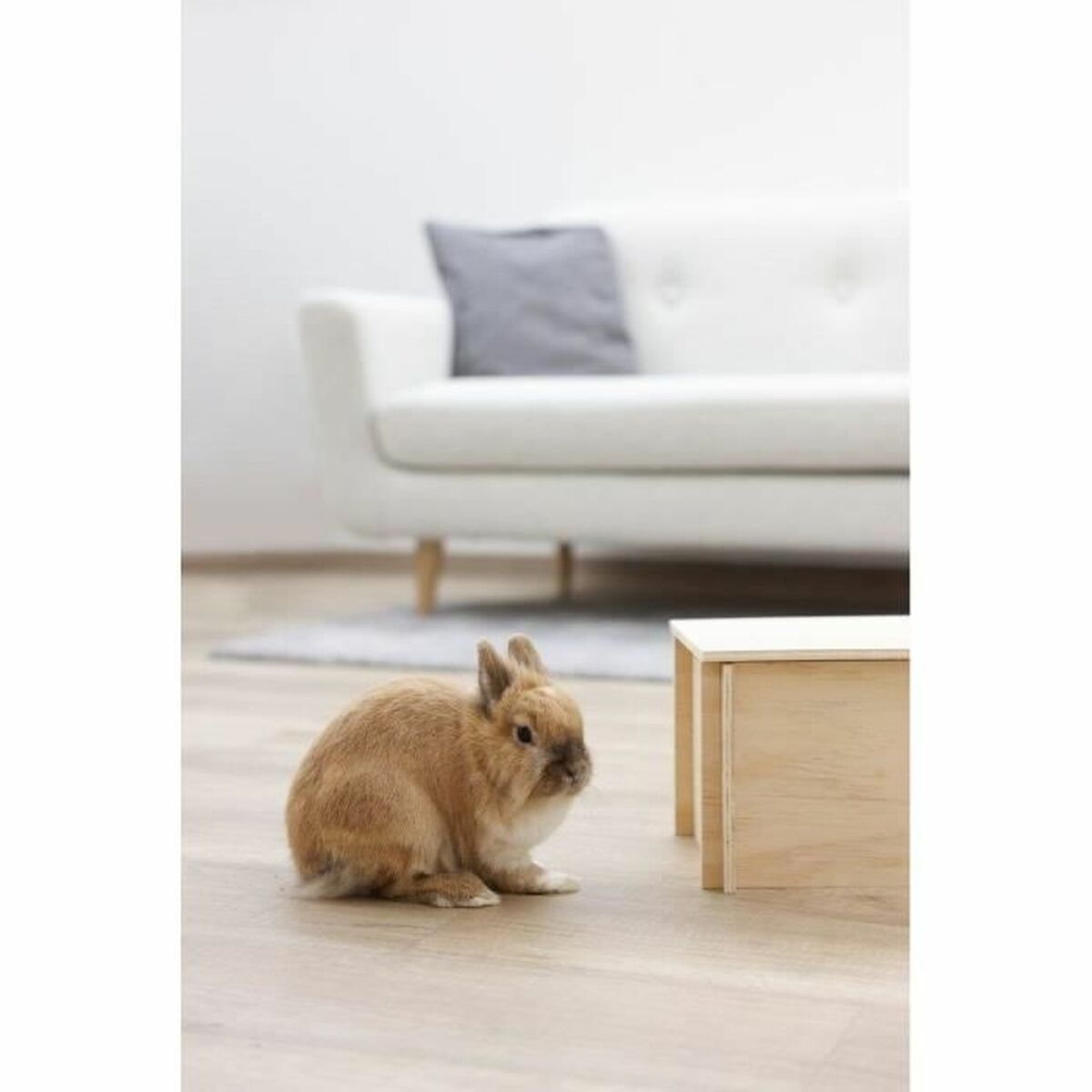 Hus för gnagare Kerbl Beige Trä - 4
