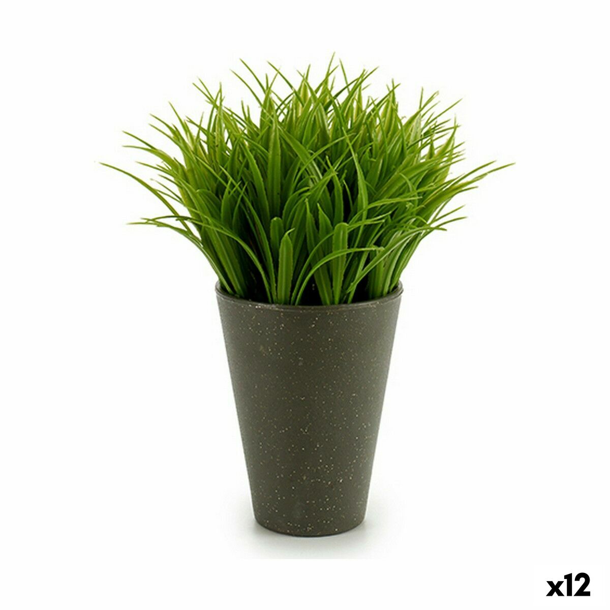 Dekorativ växt Ibergarden Plast 11 x 18 x 11 cm (12 antal) - 3